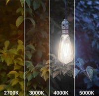 Żarówka LED ST64 E27 Filament 6500K 4W retro vintage typ Edison barwa neutralna