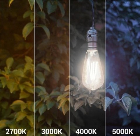Żarówka LED ST64 E27 Filament 6500K 4W retro vintage typ Edison barwa neutralna