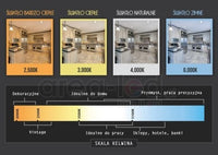 Żarówka E27 LED PAR30 czarna 18° 30W 6000K do doświetlenia roślin
